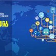 临沂市万网网络技术有限责任公司 专业化网络技术服务引领数字化未来